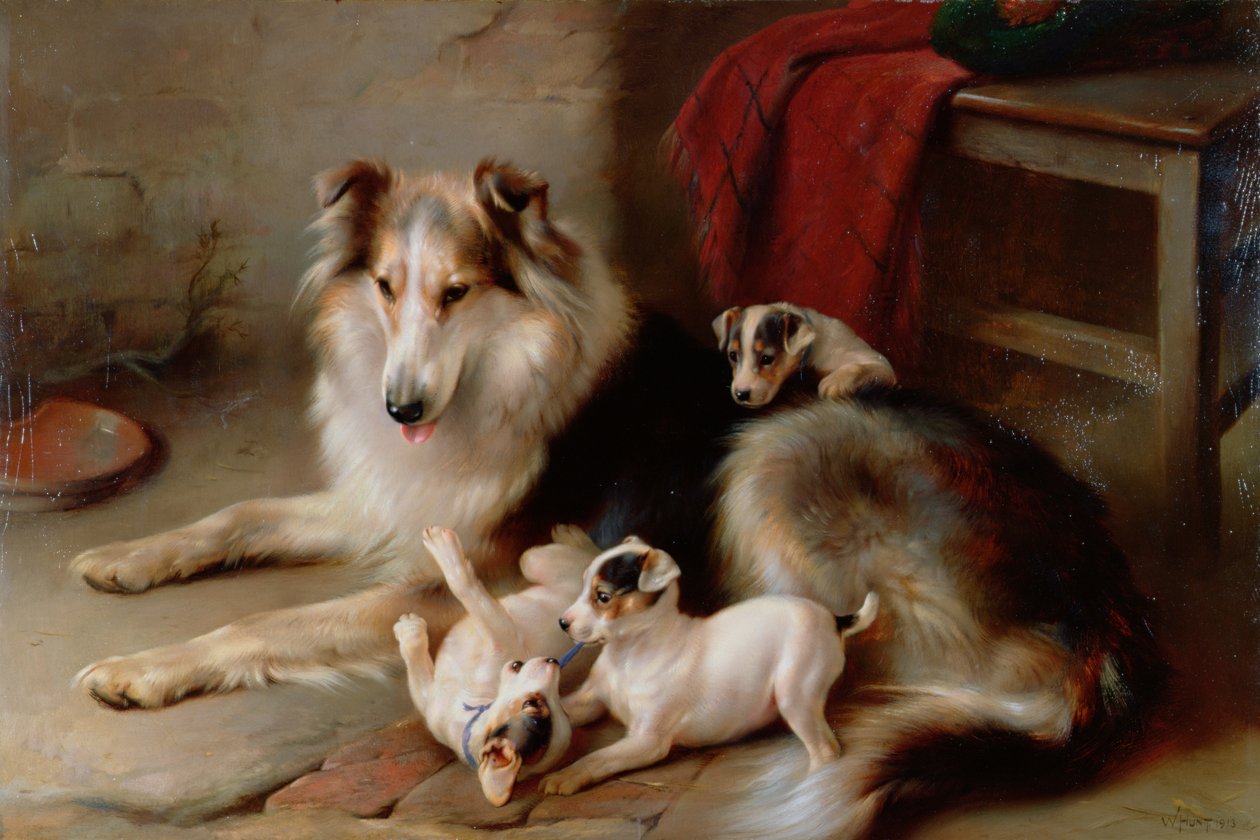 フォックステリアの子犬とコリー、1913 作： ウォルターハント