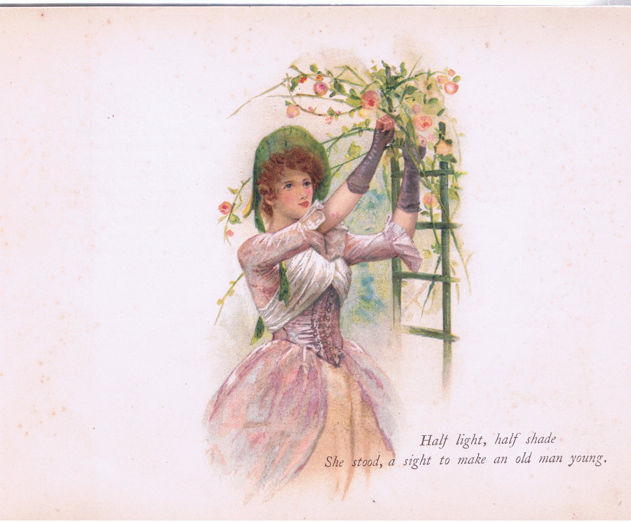 1900年頃にE P Dutton & Coから出版された「Tennyson Pictures」のイラスト（カラーリトグラフ）。 作： ウォルターパジェット