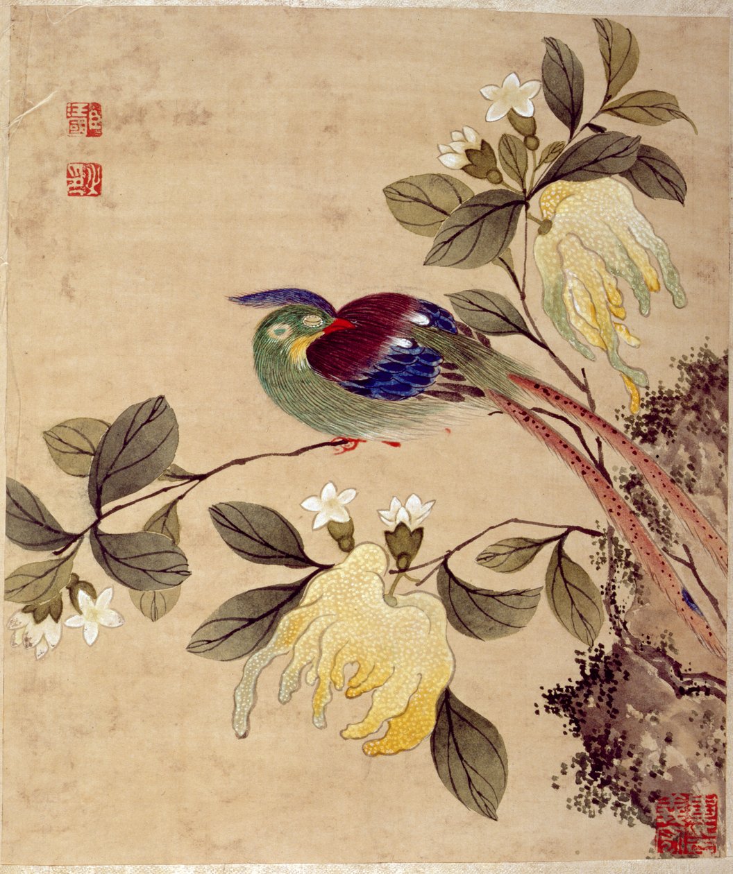 19世紀後半の鳥と果物の一連の絵画の1つ 作： 王国甲