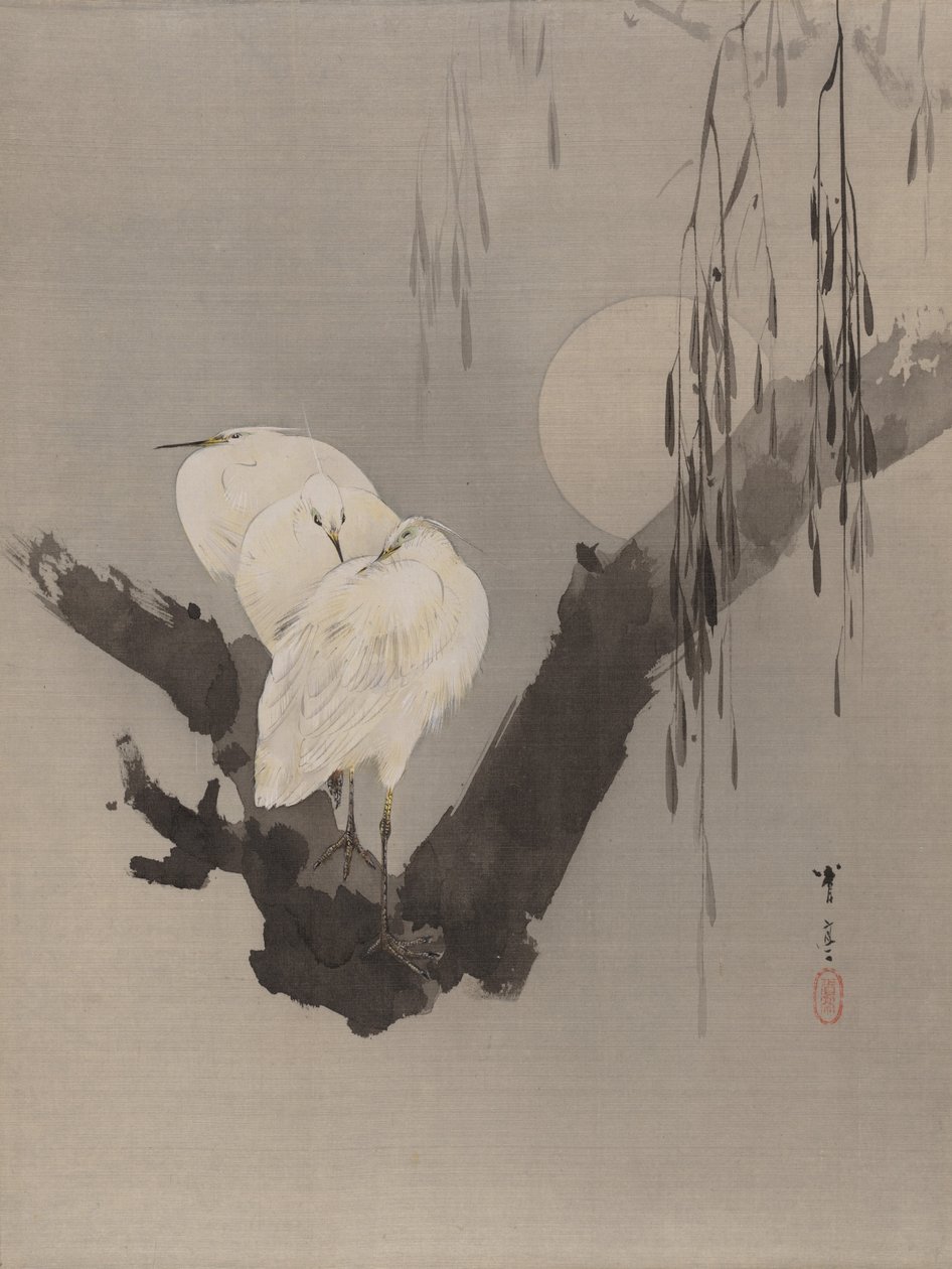 夜の木のサギ、ca。 1887。 作： 渡辺ページイ