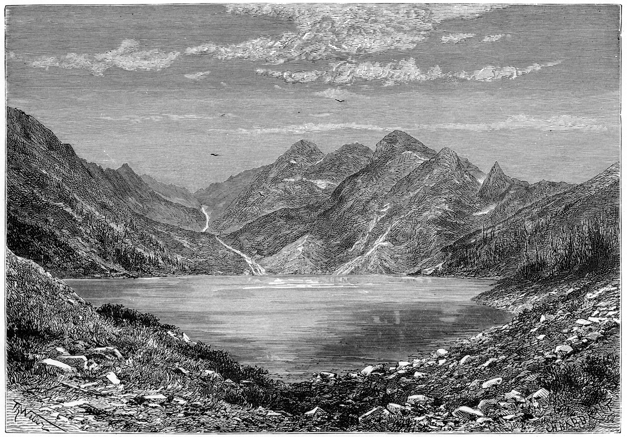 「魚の湖、スイス」、1879 年 作： ウェーバー