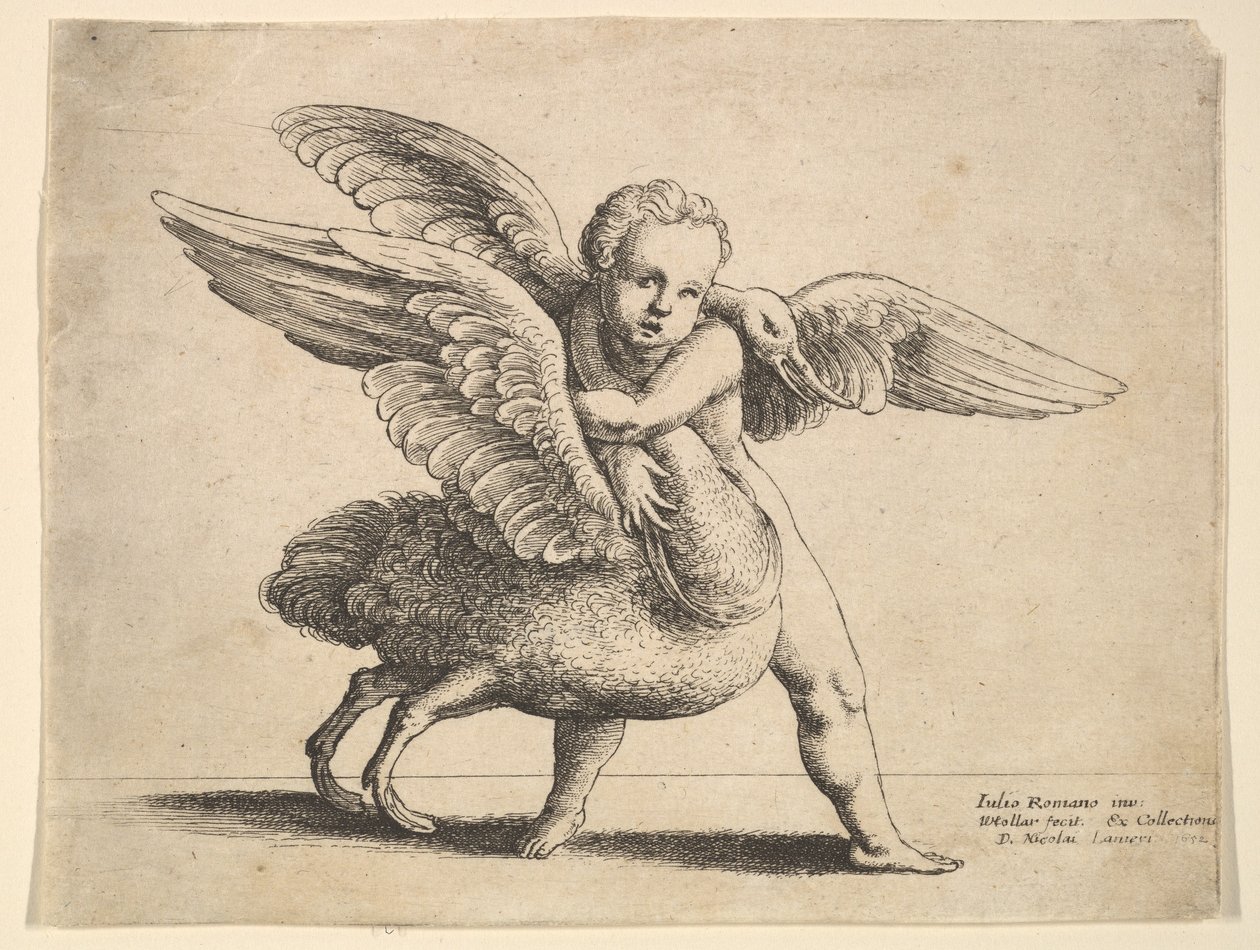 キューピッドと白鳥、1652年。 作： ヴァーツラフ・ホラー