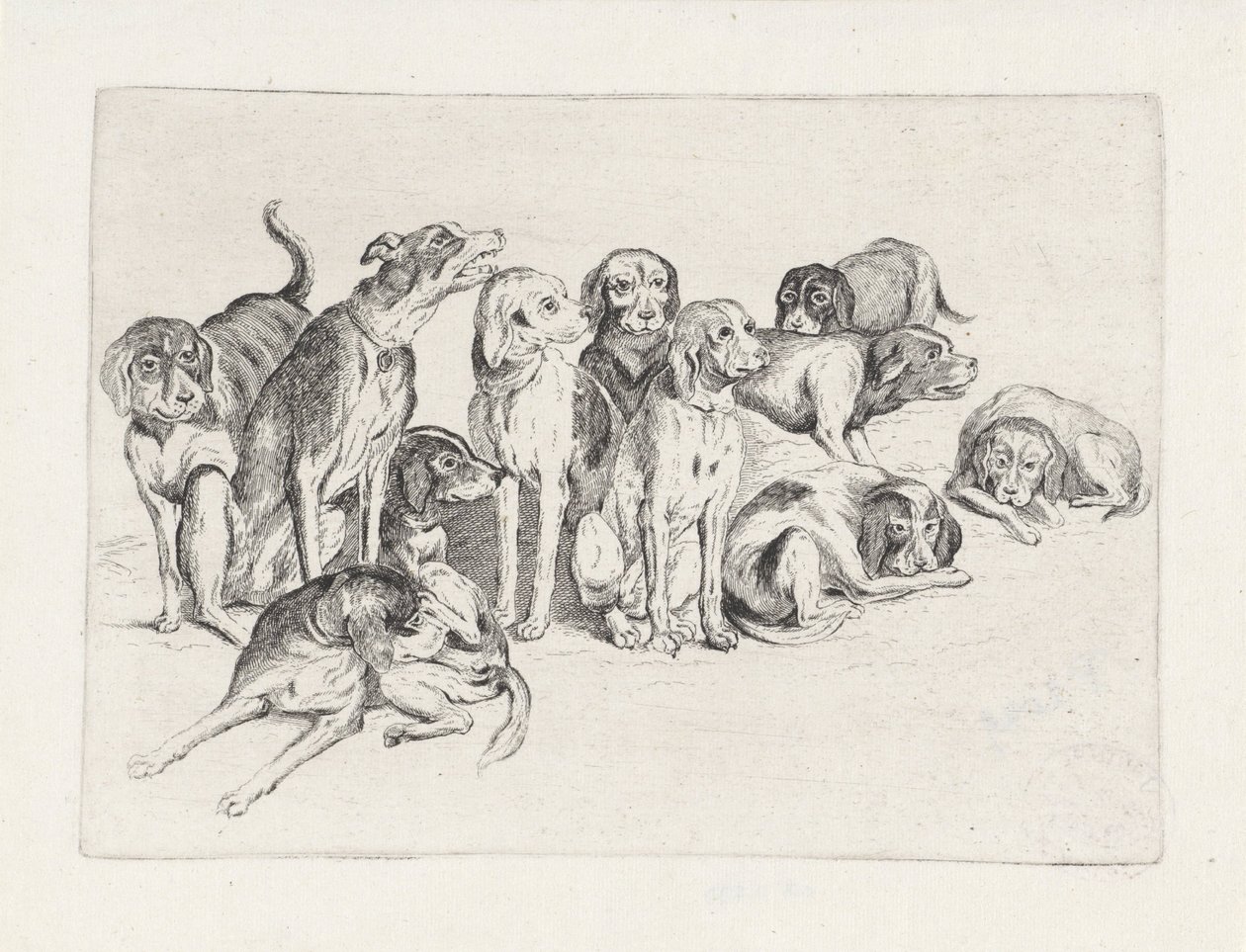 11頭の猟犬 作： ヴァーツラフ・ホラー