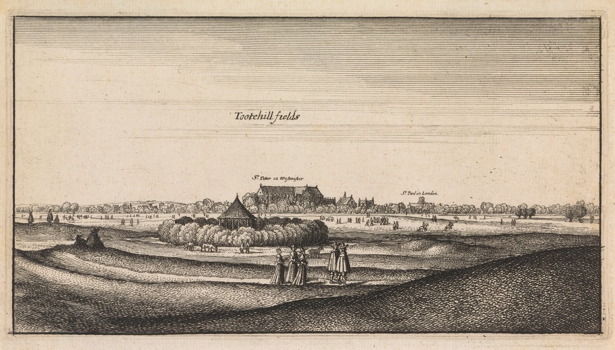 Visualizações em inglês: Campos de Tootehill 作： ヴァーツラフ・ホラー