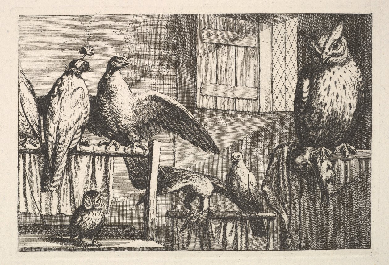 ホークスとフクロウ、1625-77年。 作： ヴァーツラフ・ホラー