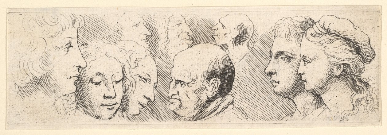 ヘッドスタディ、1644-52。 作： ヴァーツラフ・ホラー