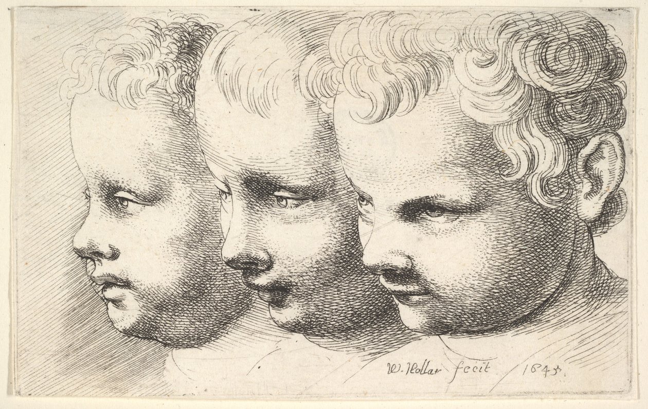 3人の子供の頭 作： ヴァーツラフ・ホラー