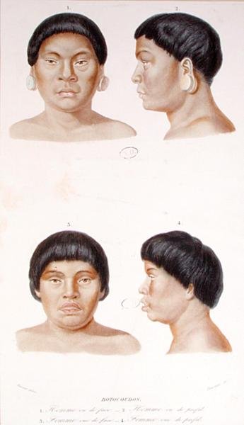 2人のボトクドス族インディアンの人体測定図 フルニエの彫刻 19世紀半ば カラーリトグラフ版 作： ヴェルナーヴェルナー