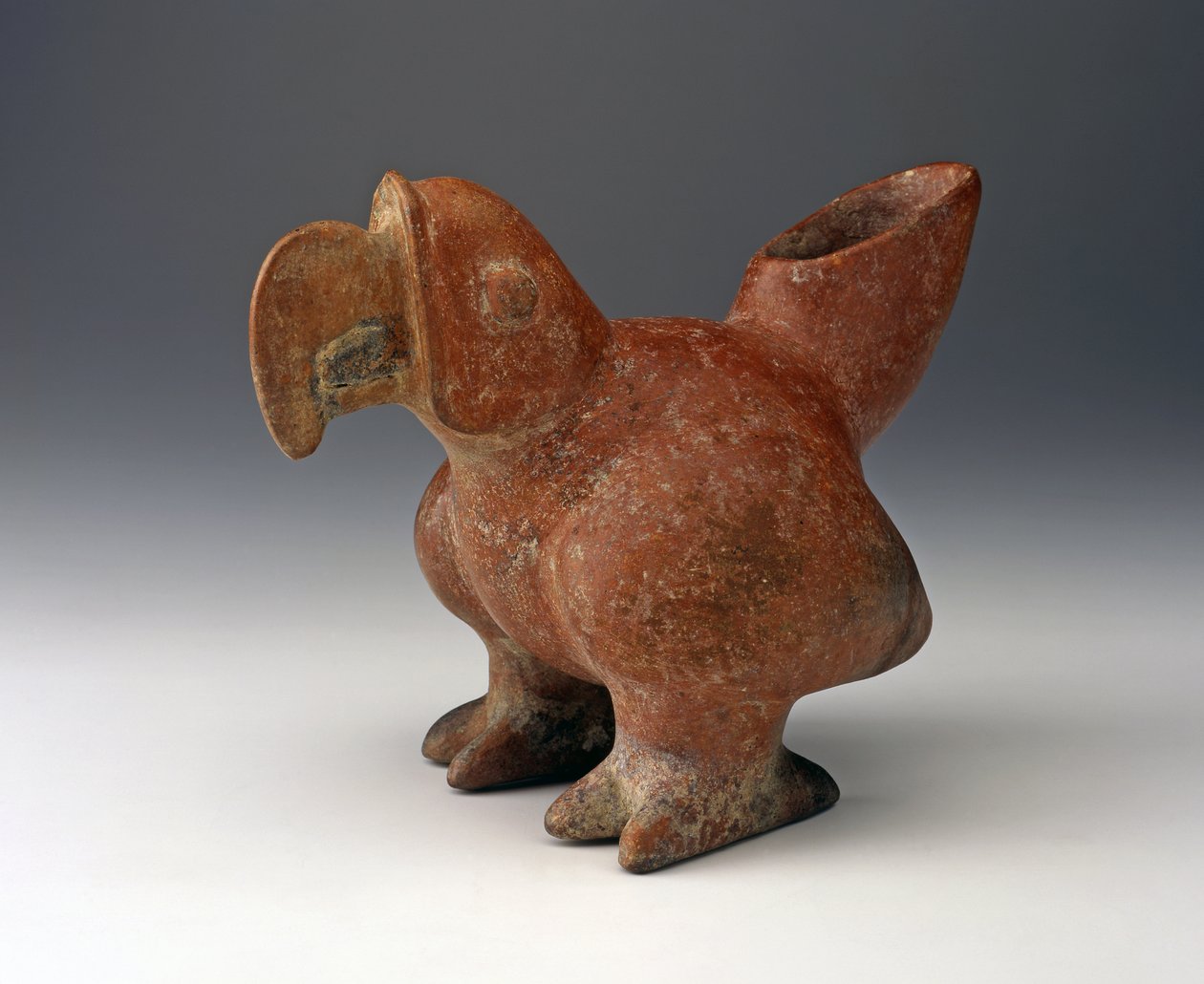 Parrot Effigy Vessel、紀元前200年頃-紀元前300年（赤いスリップペイントのセラミック） 作： 西メキシコ