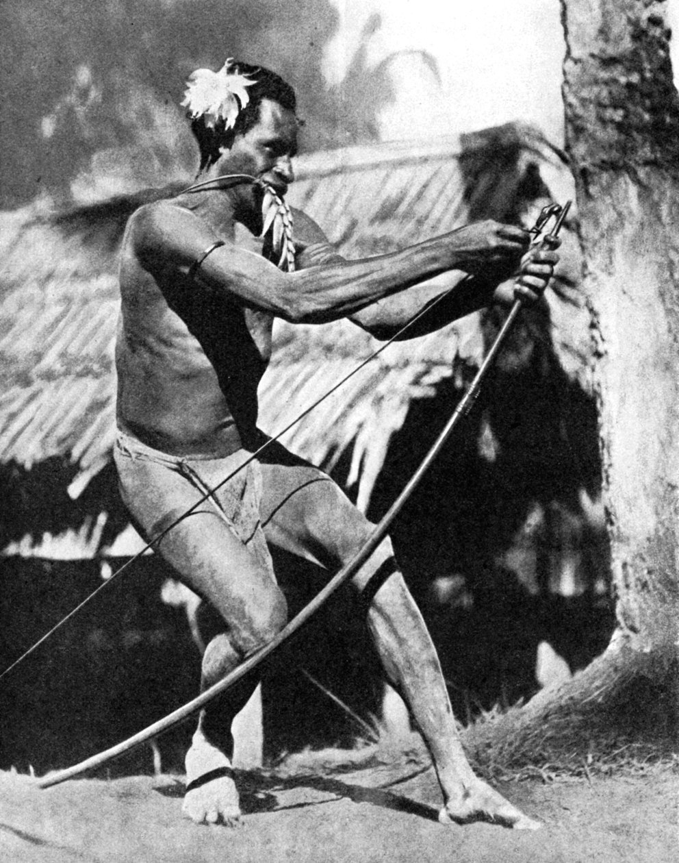弓の弦を張る猟師（1936年 作： ワイドワールドの写真