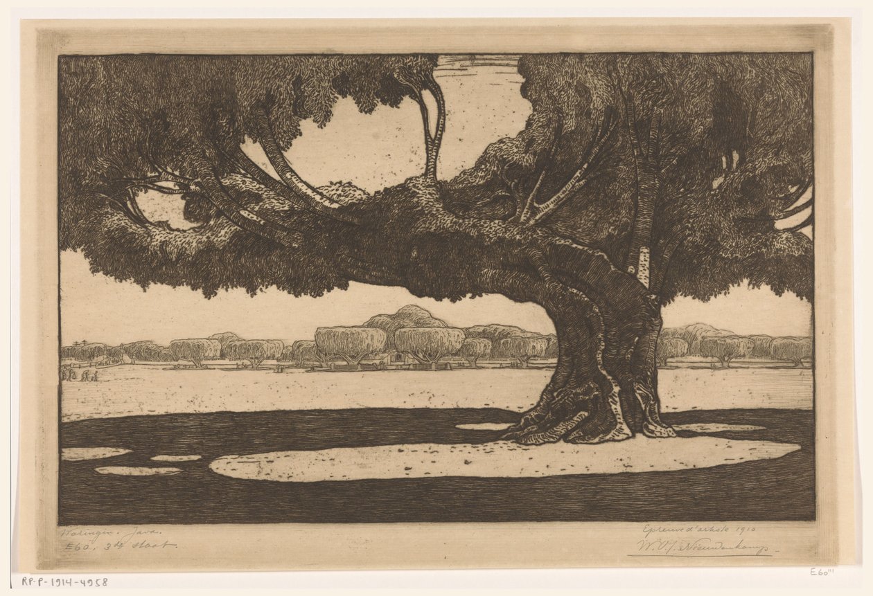 ジョグジャカルタのスルタンの宮殿の庭にあるワリンギンの木 大きな木 (原題) 作： Wijnand Otto Jan Nieuwenkamp（アーティストによる署名）