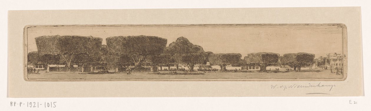 ジョグジャカルタのスルタンの宮殿の庭にあるワリンギンの木 ジョグジャカルタの広場（原題） 作： Wijnand Otto Jan Nieuwenkamp（アーティストによる署名）