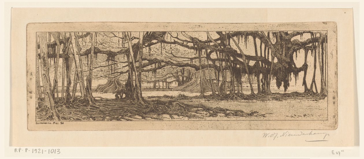ブイテンゾルグの庭にあるワリンギンの木 ブイテンゾルグの庭にて（原題） 作： Wijnand Otto Jan Nieuwenkamp（アーティストによる署名）