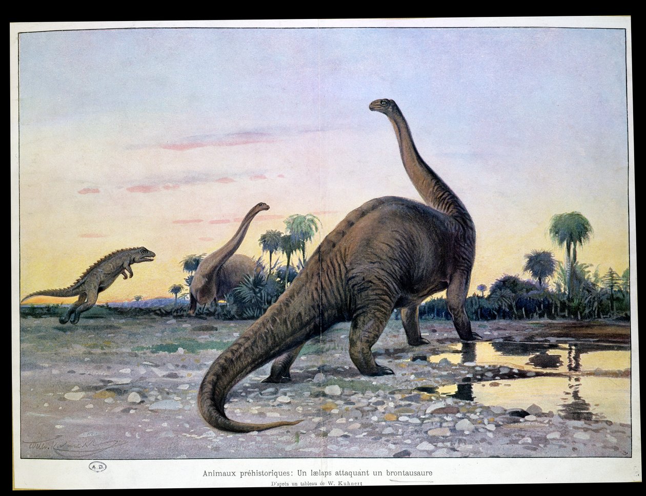 先史時代の動物：ブロントサウルスを攻撃するLaelaps 作： ウィルヘルム・クナート