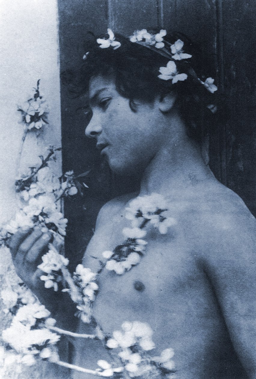 髪に花をつけた少年の研究、c.1899（シアノタイプ） 作： ヴィルヘルム・フォン・グローデン男爵