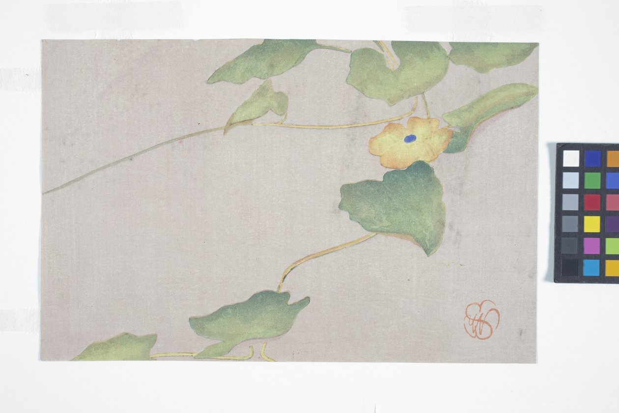 Flower Study, n. 1908 (värillinen puupainatus) 作： ヴィルヘルミナ・シーグミラー