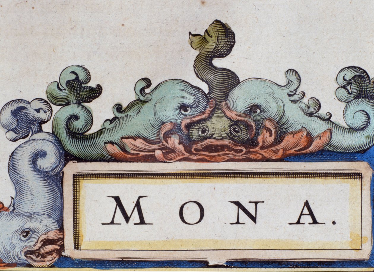 イルカ、ロカイユ風のフロントピース。Atlas di W. Blaeuの詳細。Blaeu, Amsterdam 1650の詳細。 作： ウィレム・ブルー