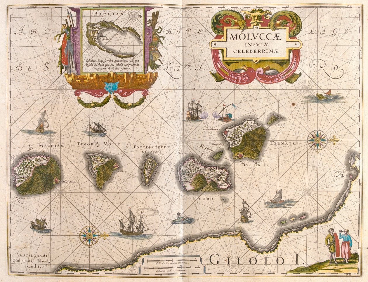スパイス諸島とバチアン島（アムステルダム、ウィレム・ブラウ著『Theatrum Orbis Terrarum, sive Atlas Novus』所収 作： ウィレム・ブルー