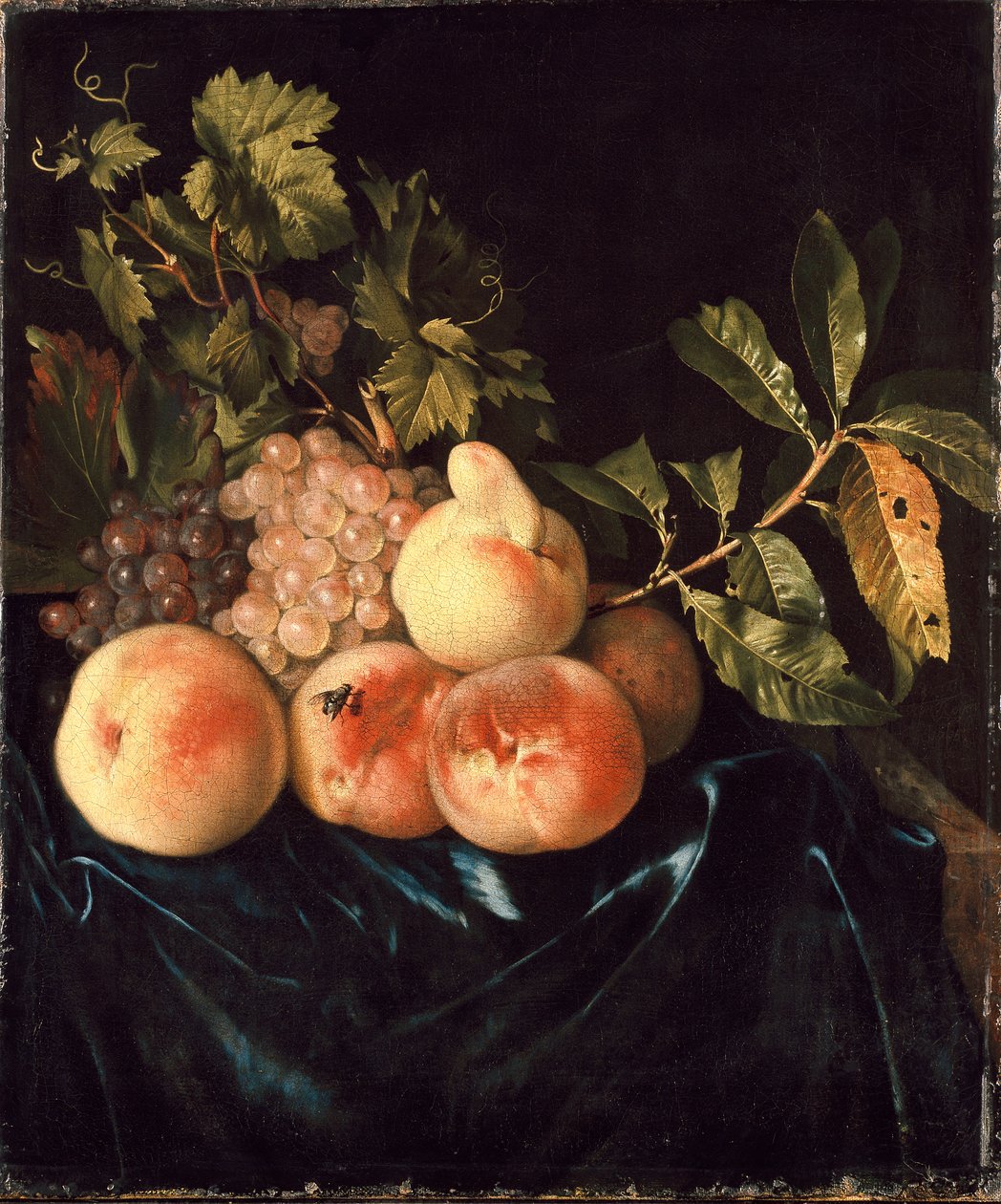 桃と葡萄の静物画（1705年 作： Willem Frederiksz van Royen