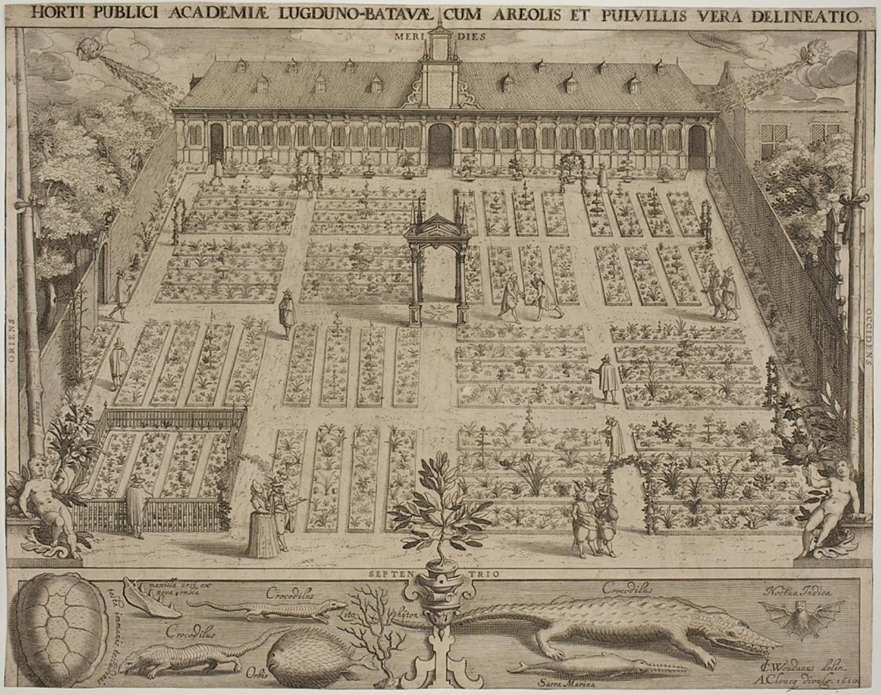 ライデンの植物園 作： Willem Isaaksz Swanenburgh