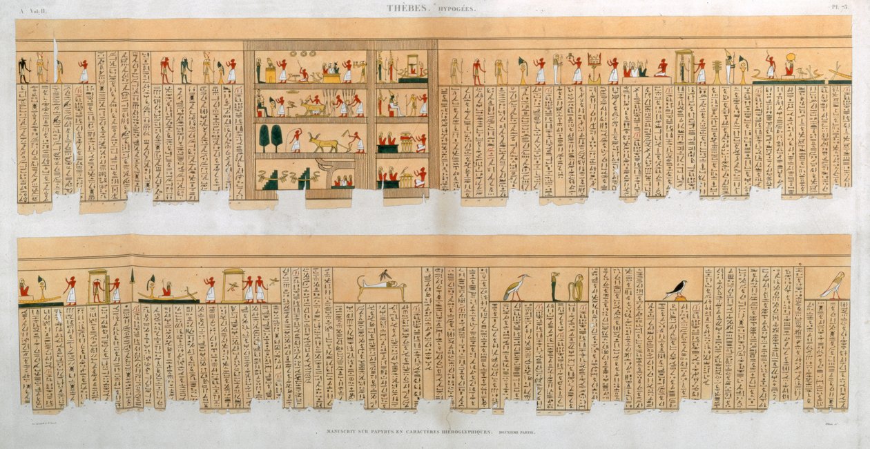 エジプト・テーベの墓から出土した象形文字入りの手稿の図版（1822年 作： ウィレミン