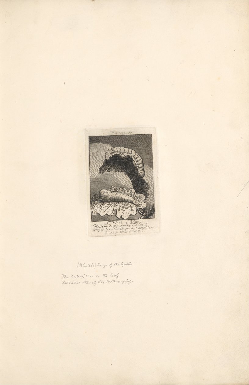 For the Sexes- The Gates of Paradise、Plate 2、Frontispiece、What is Man！ 作： ウィリアム・ブレイク