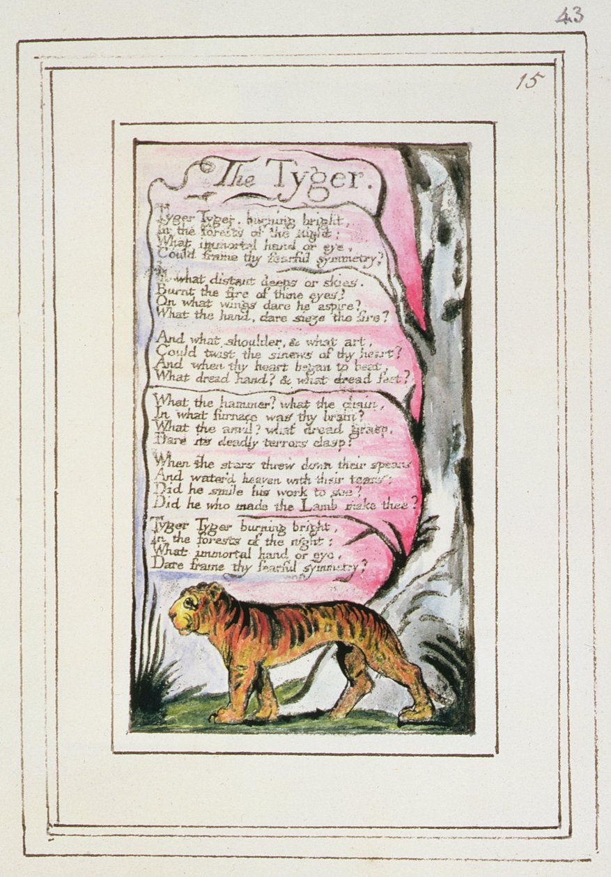 P.124-1950.pt43 The Tyger： &39;Songs of Innocence and of Experience&39;（copy R）c.1802-08（etching、ink and wc）のプレート43 作： ウィリアム・ブレイク