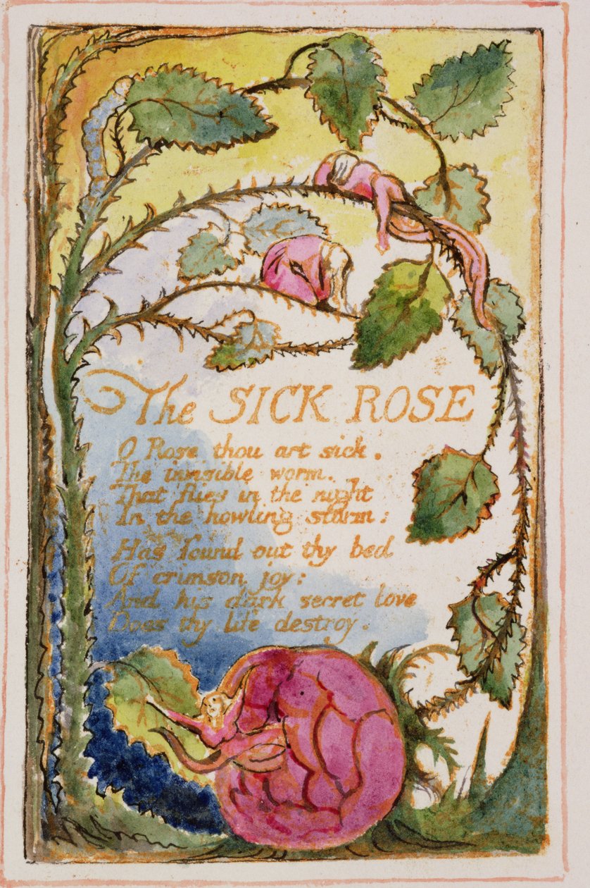 P.125-19503.pt39 The Sick Rose：Songs of Innocence and of Experience（copy AA）c.1815-26（etching、ink and wc）のプレート39 作： ウィリアム・ブレイク