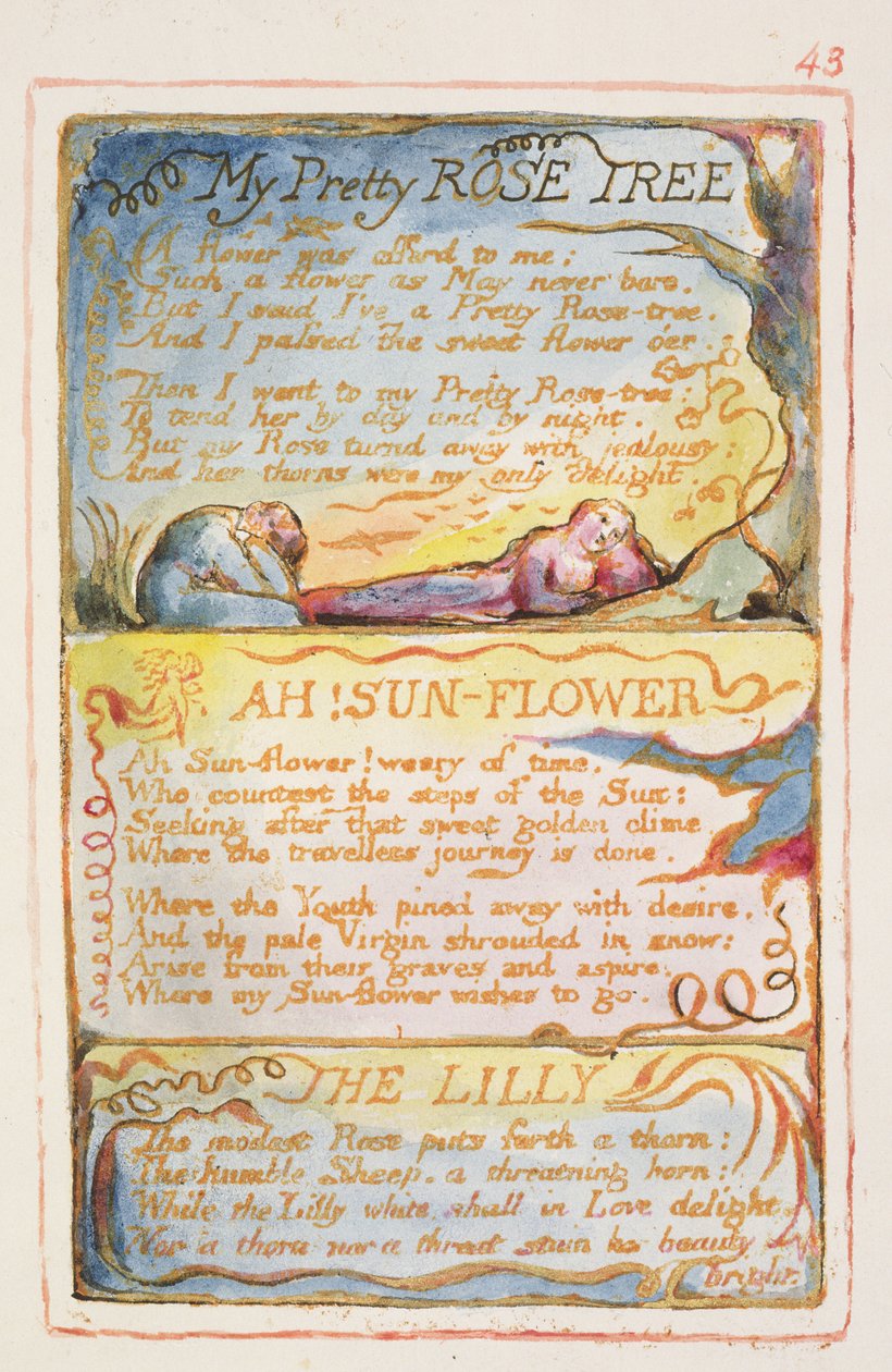 P.125-1950.pt43私のプリティローズツリー;ああ！ひまわり; The Lilly：43 of Songs of Innocence and of Experience（copy AA）c.1815-26（etching、ink and wc） 作： ウィリアム・ブレイク