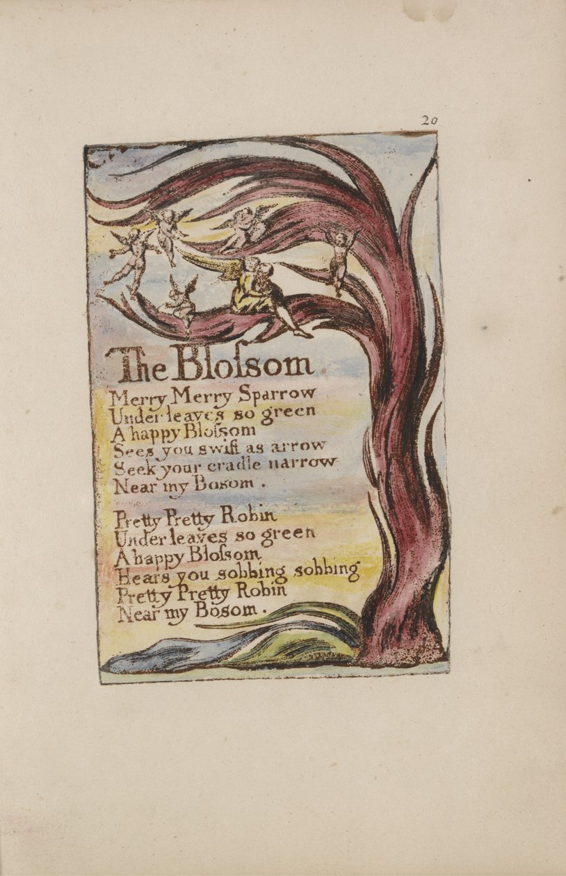ブロッサム、Songs of Innocence、1789年の版28（紙にトイレ付きの手描きのレリーフエッチング） 作： ウィリアム・ブレイク