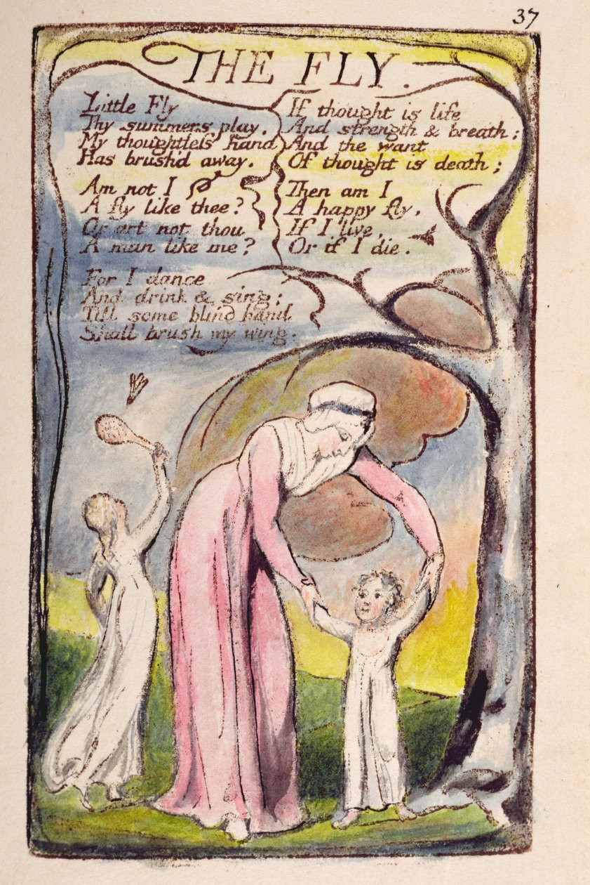 「イノセンスと経験の歌」からの37枚目の「ザフライ」[ベントレー40] c.1789-94（ペンとインクとトイレでダークブラウンにレリーフエッチングを印刷） 作： ウィリアム・ブレイク