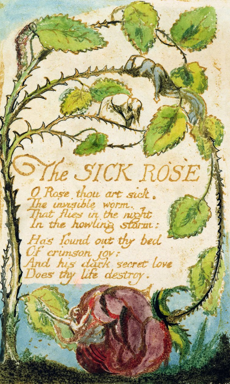 Songs of InnocenceのThe Sick Rose（エッチング、インク、トイレ） 作： ウィリアム・ブレイク