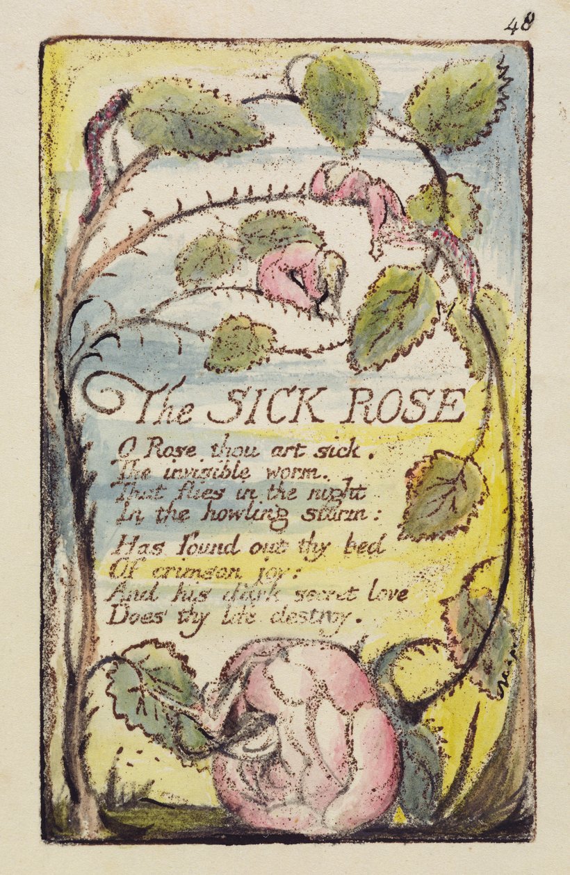 「The Sick Rose」、「Songs of Innocence and of Experience」[Bentley 39] c.1789-94からの版48（ペンとインクとトイレの入ったダークブラウンのレリーフエッチング） 作： ウィリアム・ブレイク