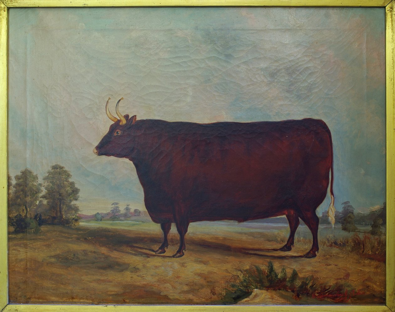 風景の中の北デボン牛、1837 作： ウィリアム・カーマイケル・ベイカー