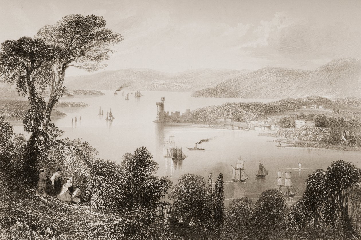 1860年代のジョージ・バーチューによる「アイルランドの風景と古代」からのアイルランド、コーク州のグランミアロードの下からのコーク川 作： ウィリアム・ヘンリー・バートレット