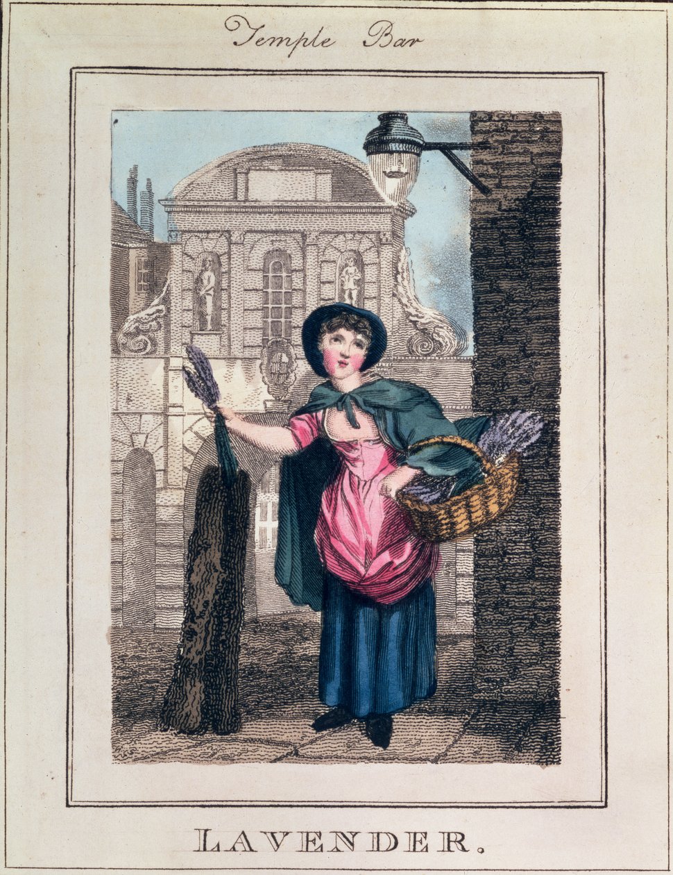 &39;Cries of London&39;のパブ、Temple Barのラベンダー。リチャード・フィリップス（1778-1851）1804 作： ウィリアム・マーシャル・クレイグ