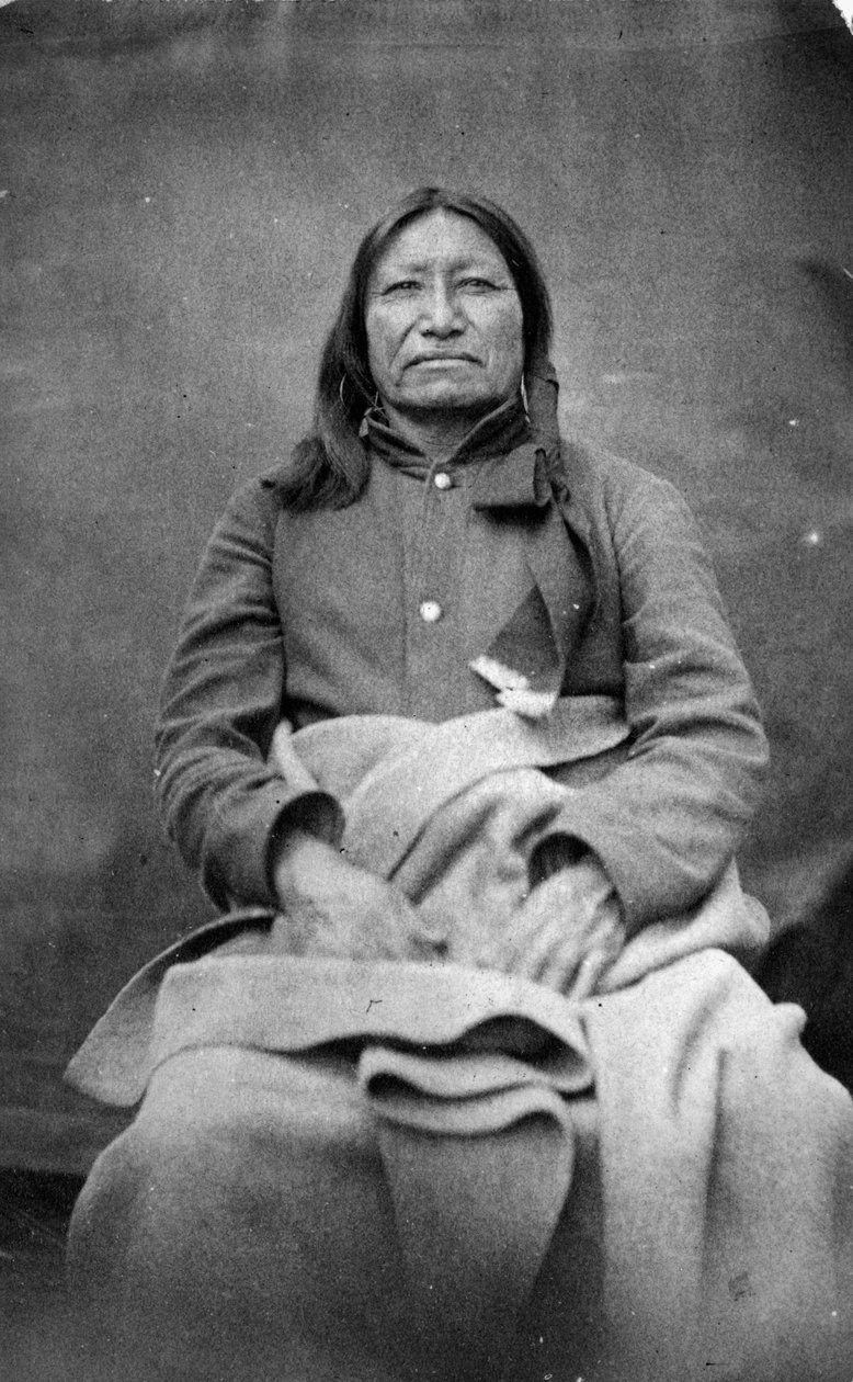 斑点のある尾、スー族の首長、1870年頃 作： ウィリアム・リチャード・クロス