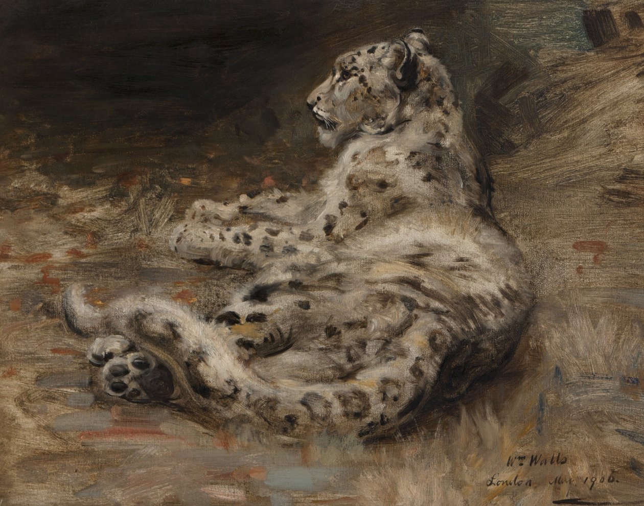 ヒョウ、1906 作： ウィリアム・ウォールズ