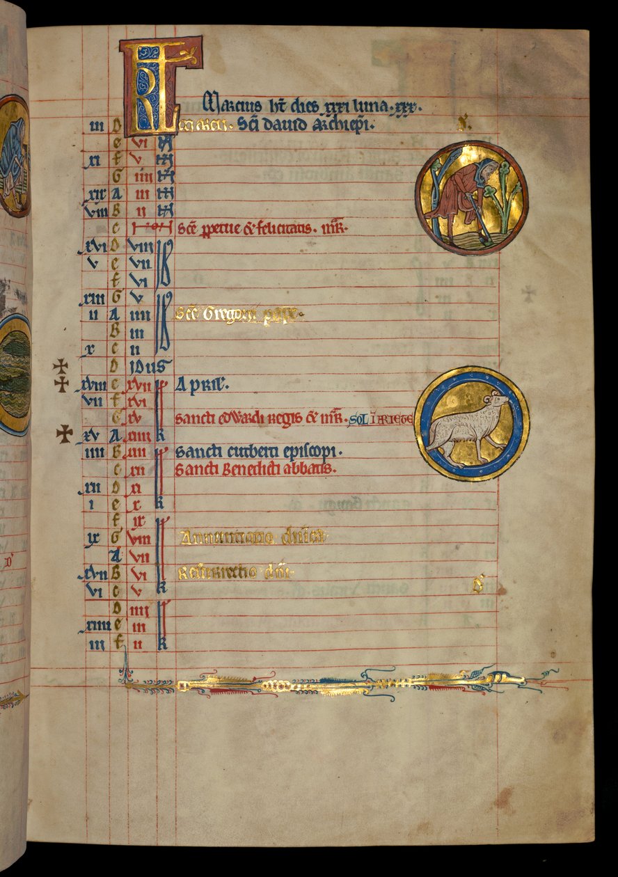 Ms 322 f.2r、3月、掘る男、「De Brailes Psalter」のイラスト、c.1250 作： ウィリアム・ド・ブレイルズ