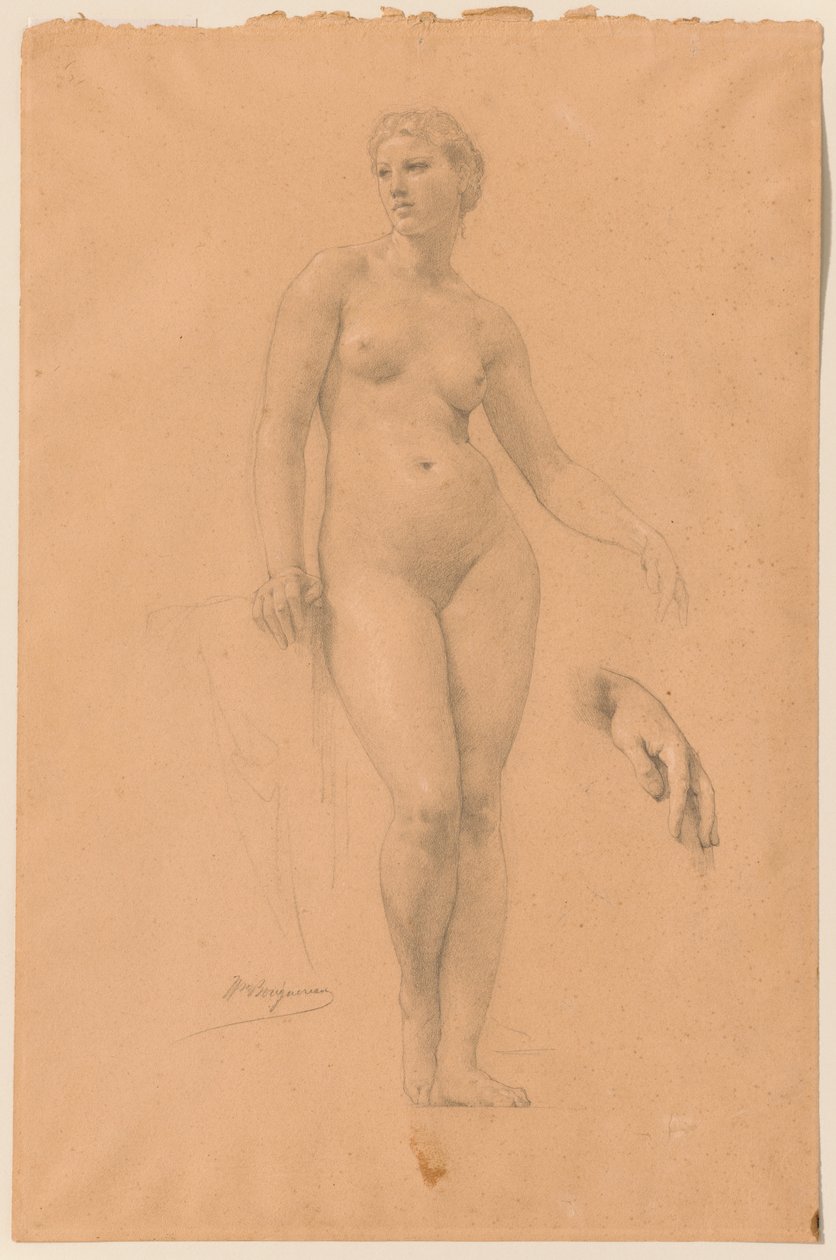 Studie der Venus für „Apollo und die Musen auf dem Olymp“ 作： ウィリアム・アドルフ・ブーグロー