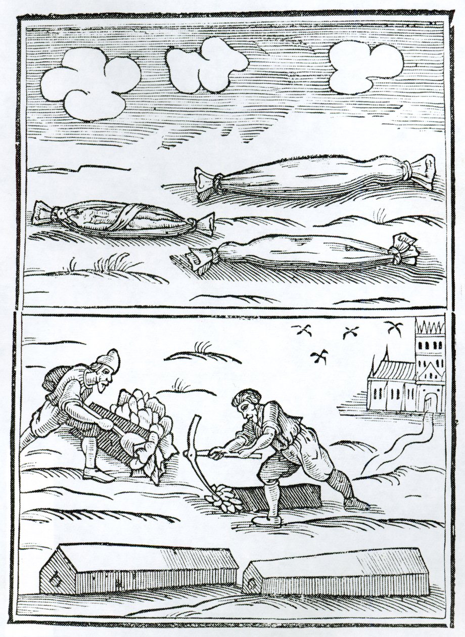 1651年に出版されたウィリアム・リリー作 "Monarchy or No Monarchy in England"（木版画）に描かれた大疫病のヒエログリフ（白黒写真）。 作： 