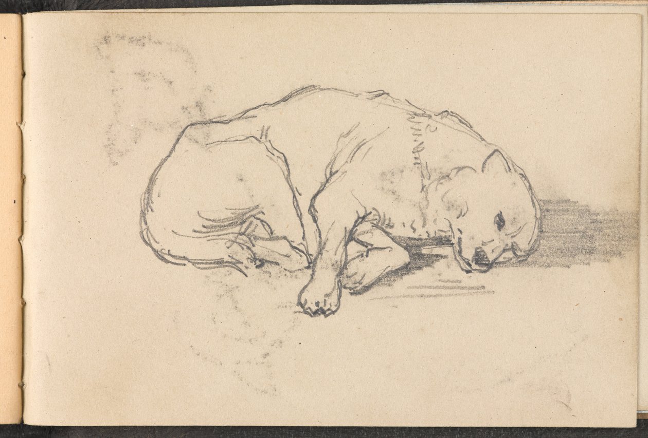 1879年頃の眠っている犬のスケッチ 作： ウィリアムバーンズウール