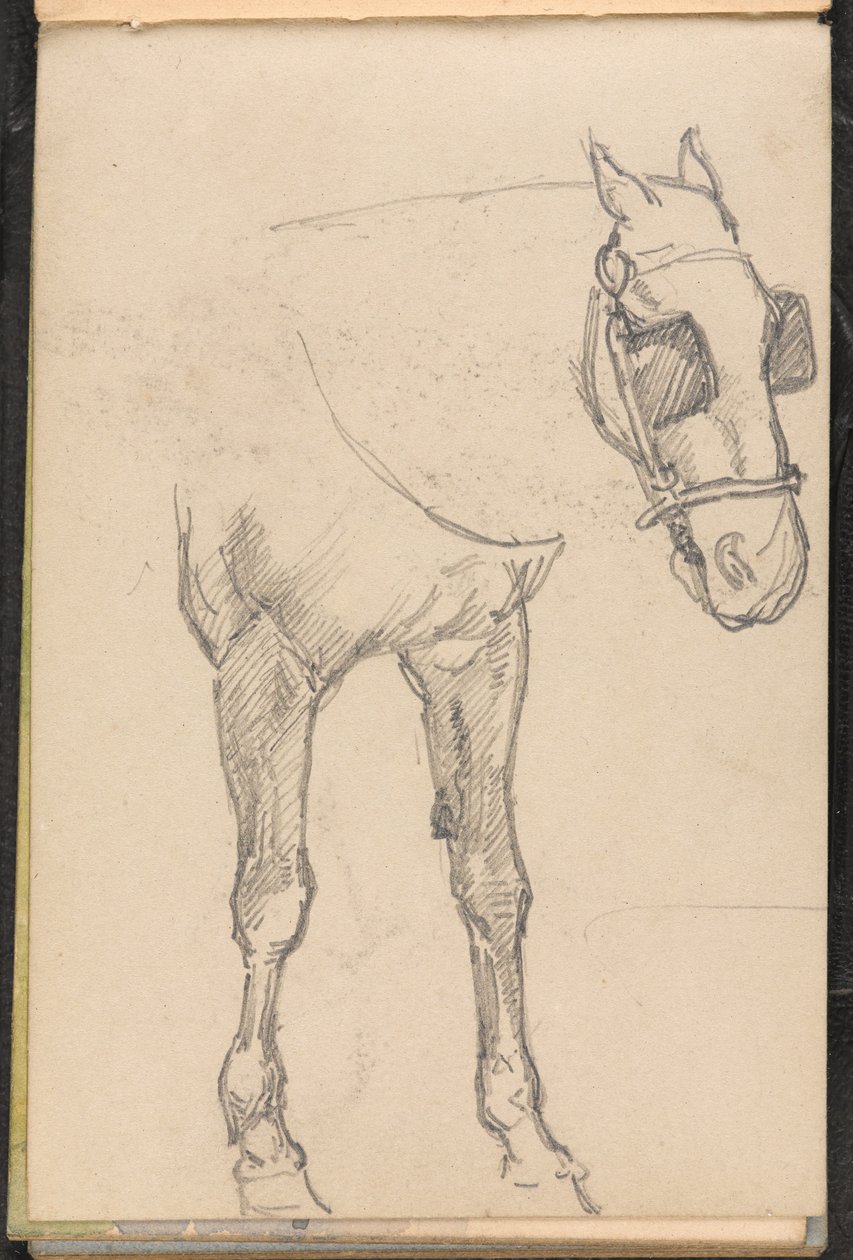 1879年頃のウインカー付き馬のスケッチ 作： ウィリアムバーンズウール