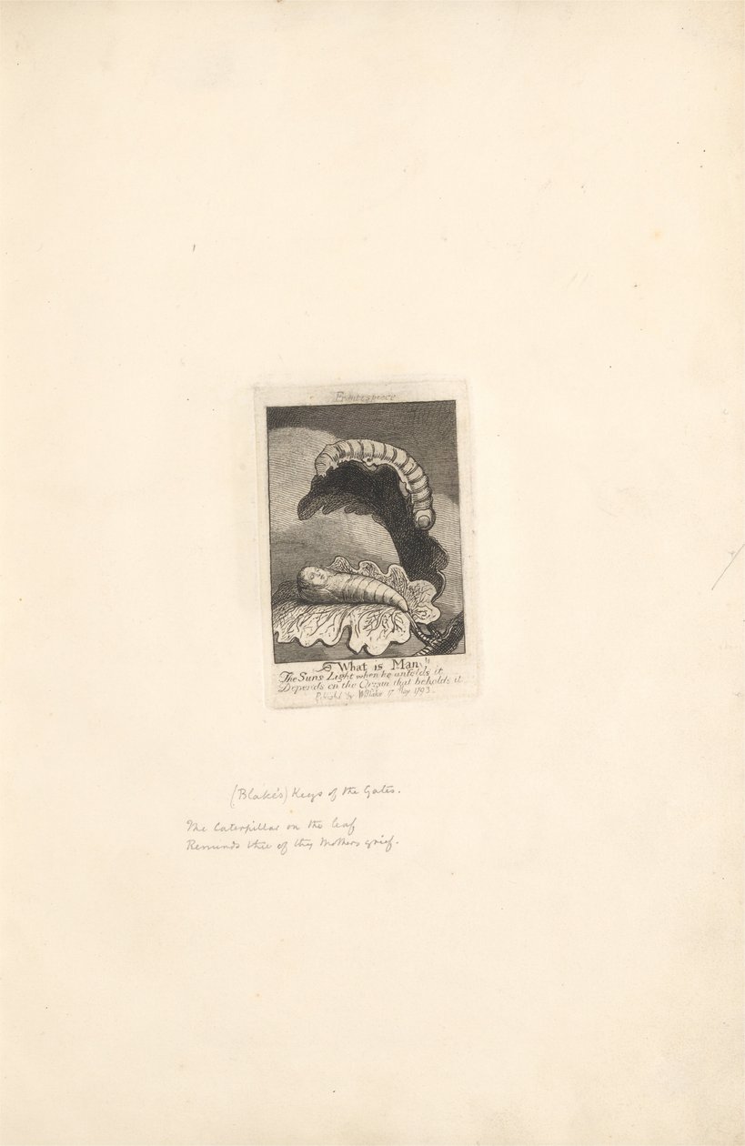 For the Sexes- The Gates of Paradise、Plate 1、Title Page 作： ウィリアム・ブレイク