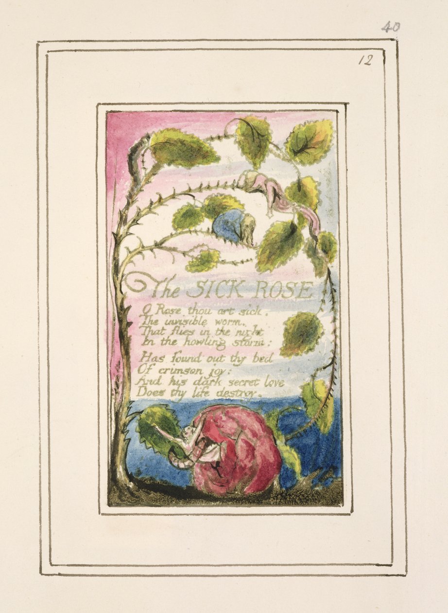 P.124-1950.pt40 The Sick Rose：「無垢と経験の歌」のプレート40（コピーR）c.1802-08（エッチング、インク、トイレ） 作： ウィリアム・ブレイク