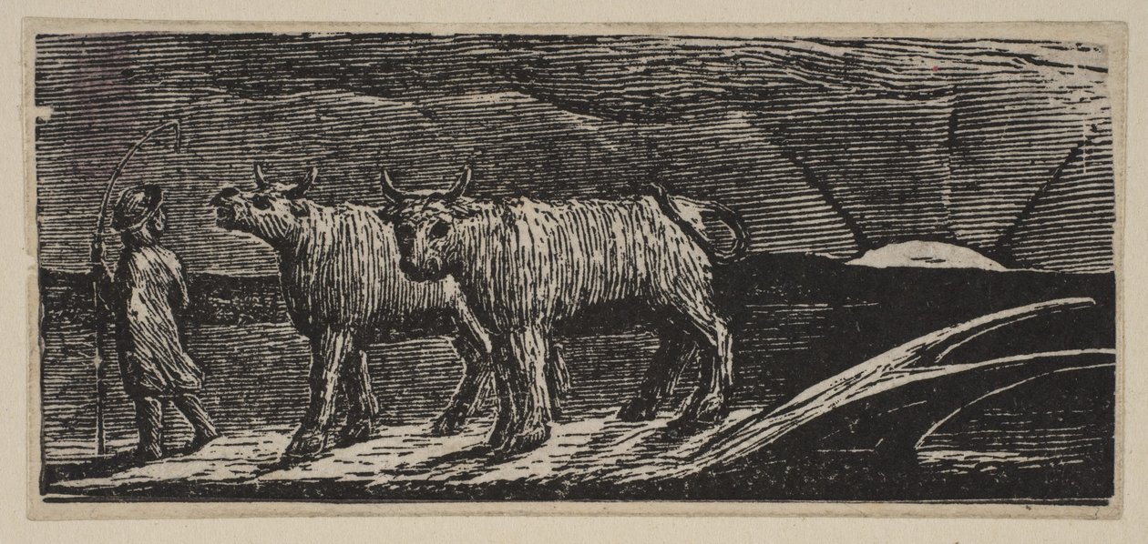 Unyokd Heifers、Loitering Homeward、from Thorntons Pastorals of Virgil、1821。 作： ウィリアム・ブレイク