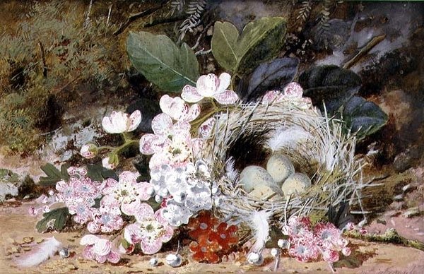 プリムラのある鳥の巣の静物画 作： ウィリアム・クルシャンク