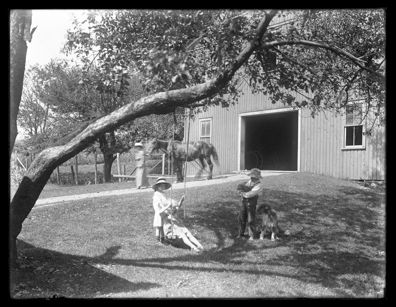 1913年頃、犬と子犬を連れたマクレディ家の子供たちが納屋の外のロープスイングに集まりました。 作： ウィリアムデイビスハスラー
