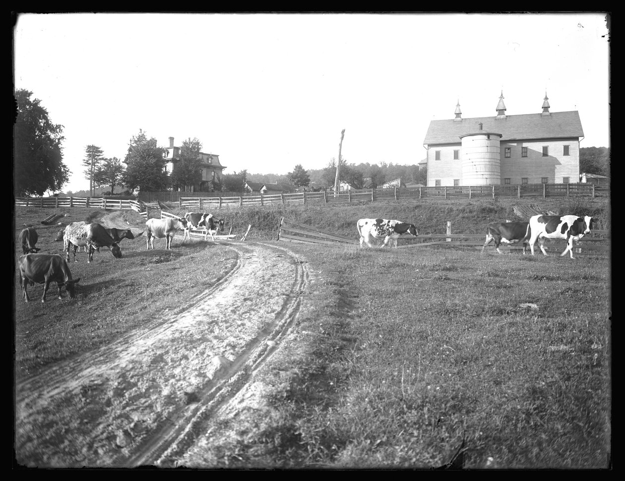 マクレディ農場とトーマス邸、ペンシルベニア州、1913年 作： ウィリアムデイビスハスラー