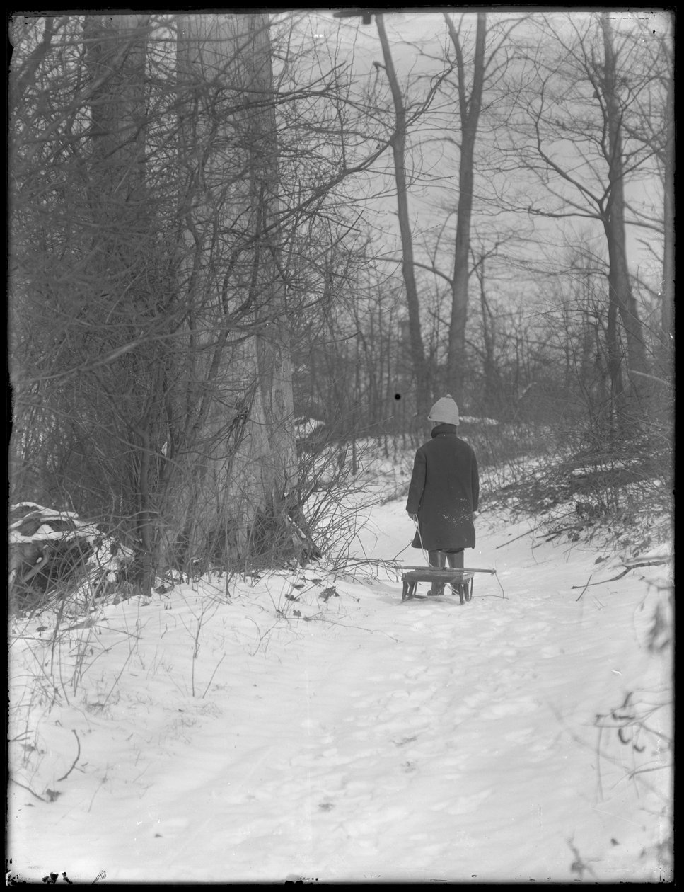 雪に覆われた森の中をそりを引くウィリアムグレイハスラー、1912年頃 作： ウィリアムデイビスハスラー